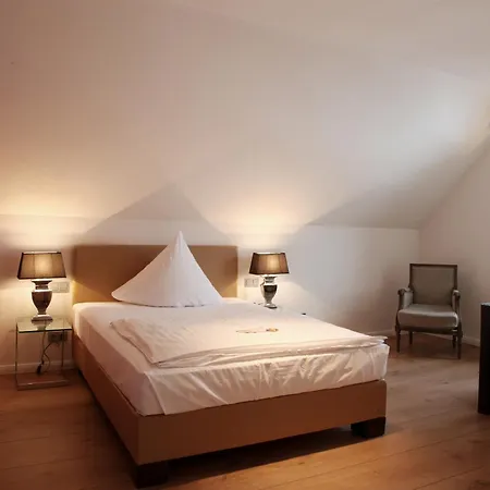 Altes Zollhaus Hotel 4*