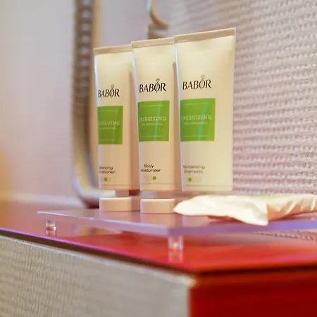 Altes Zollhaus Hotel